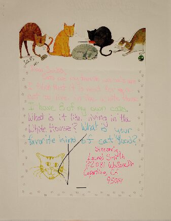 Laurel Smith to First Cat Socks